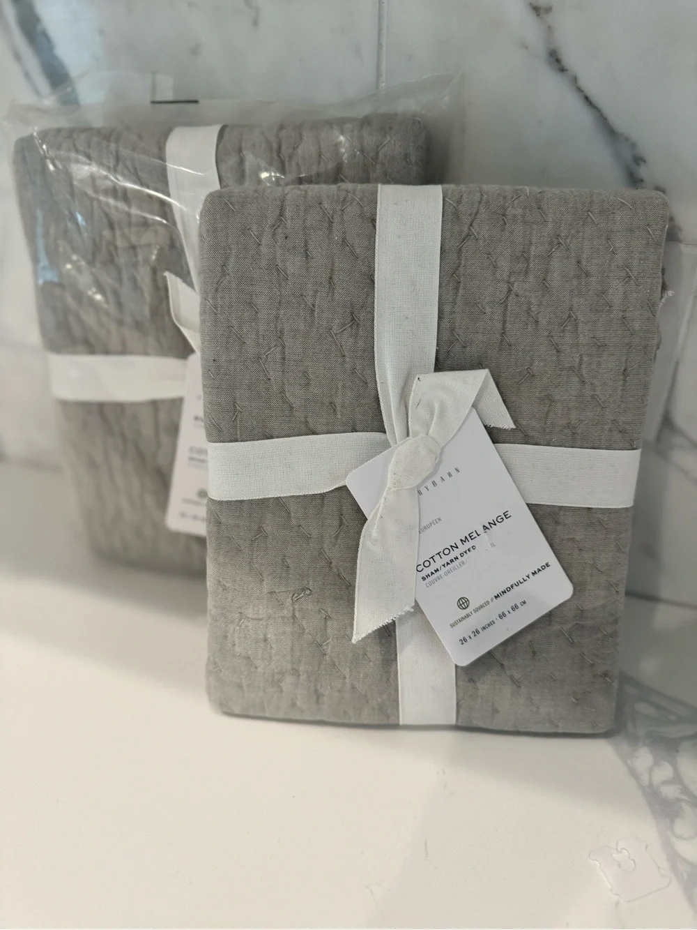 2 NIP Pottery Barn Cotton Melange European Shams